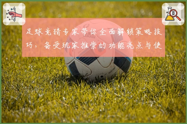足球竞猜专家带你全面解锁策略技巧，备受玩家推崇的功能亮点与使用体验深度解析