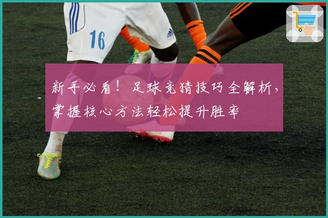 新手必看！足球竞猜技巧全解析，掌握核心方法轻松提升胜率